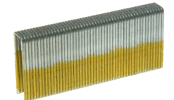 SIMPSON STRONG-TIE Spik Och Dyckert<KLAMMER BCS5CP LÅDA 25MM 5400ST